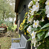 Thee buiten 1