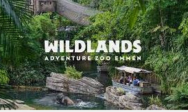 Wildlands